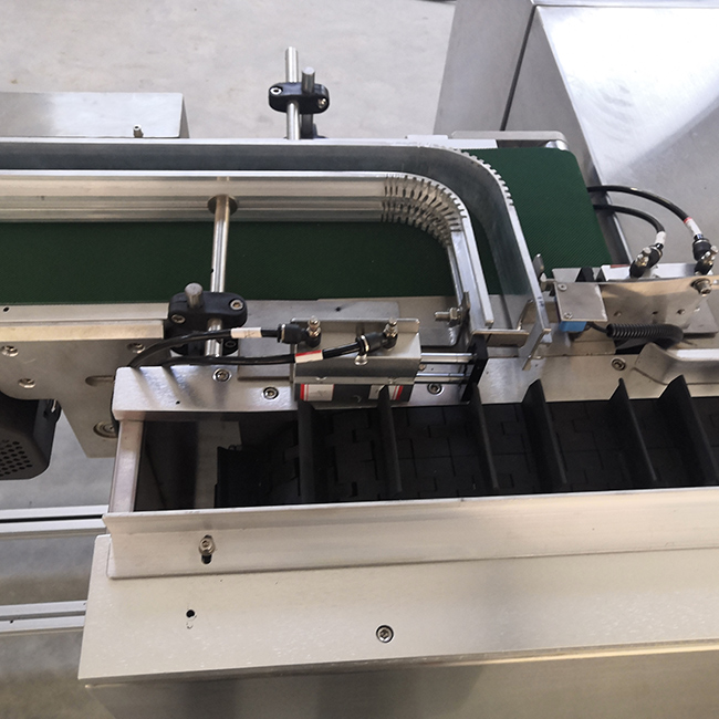 Bottle Cartoning Machine with Dropping System 